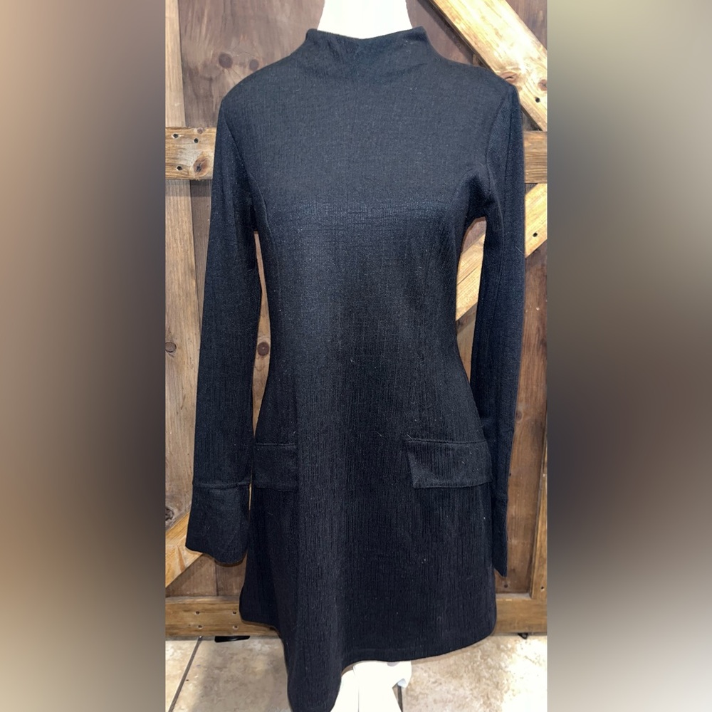 Francesca's Collections Black Mockneck Long Sleeve Dress